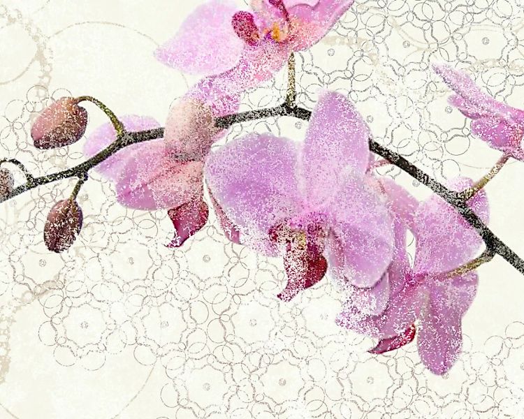 Fototapete "Orchideen" 4,00x2,50 m / Glattvlies Perlmutt günstig online kaufen