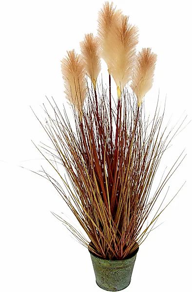 I.GE.A. Kunstpflanze »Pampasgras« Im Metalltopf günstig online kaufen