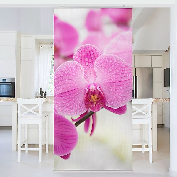 Raumteiler Nahaufnahme Orchidee günstig online kaufen