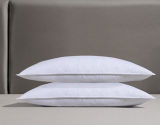 RIBECO Federkissen »Kopfkissen-Set Laram, Kissen mit Daunenanteil, in 40x80 günstig online kaufen