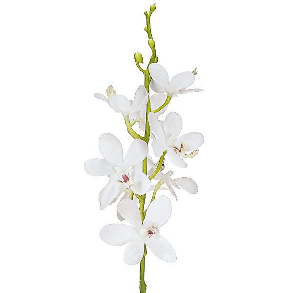 Kunstorchidee Künstliche Orchideen Weiß Ø3,5-5cm L38cm günstig online kaufen