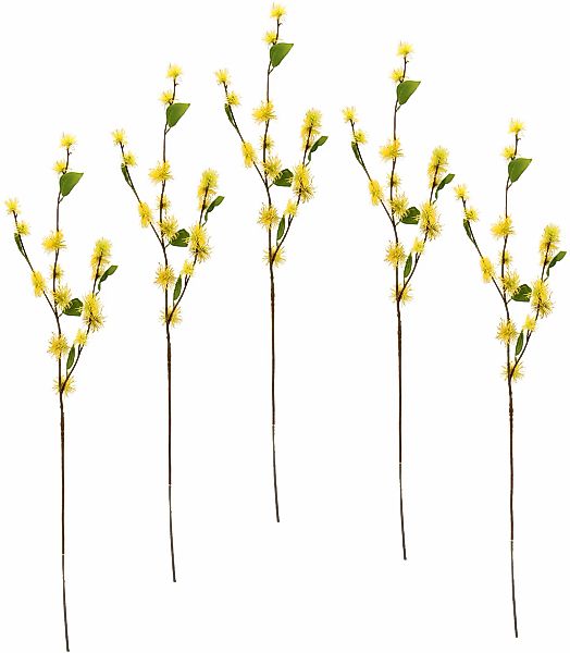 I.GE.A. Kunstblume "Zaubernuss", 5er Set günstig online kaufen