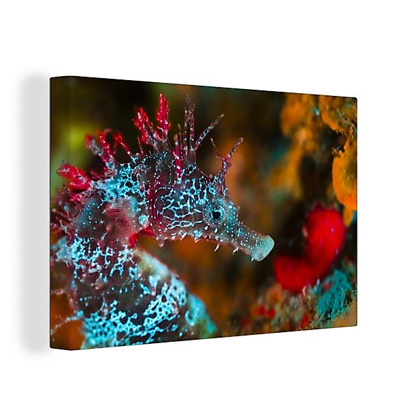 OneMillionCanvasses® Leinwandbild Seepferdchen mit leuchtenden Farben, günstig online kaufen