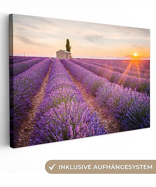 OneMillionCanvasses® Leinwandbild Lavendel - Sonnenuntergang - günstig online kaufen
