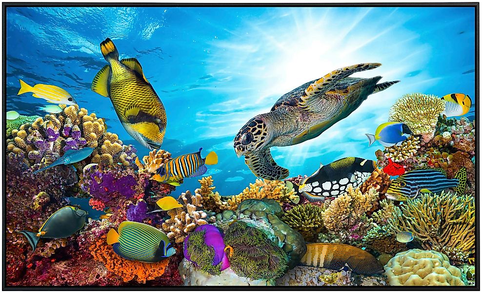 Papermoon Infrarotheizung »Korallenriff Fidschi« günstig online kaufen