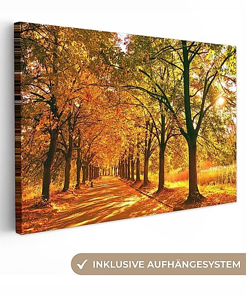OneMillionCanvasses® Leinwandbild Wald - Herbst - günstig online kaufen