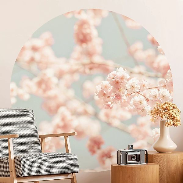 Runde Tapete selbstklebend Kirschblüten Glow günstig online kaufen