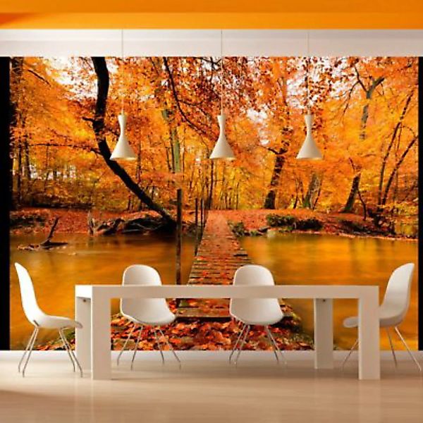 artgeist Fototapete Holzbrücke im Wald mehrfarbig Gr. 200 x 154 günstig online kaufen