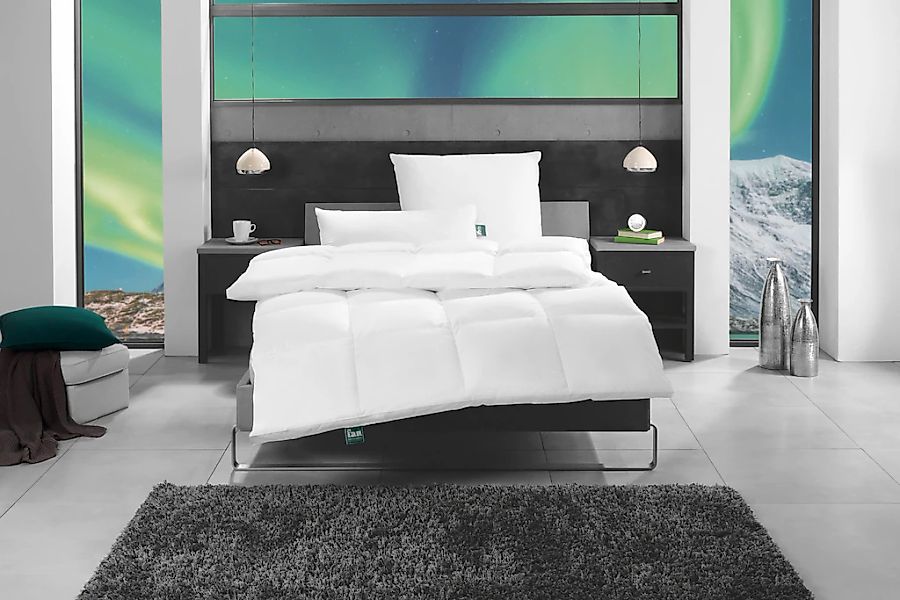 fan Gänsedaunenbettdecke "f.a.n. Island" normal 1 Stk. tlg. günstig online kaufen