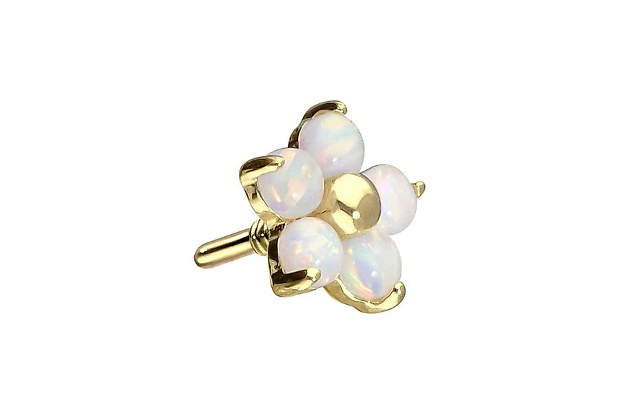 PIERCINGLINE Piercing-Set 14 Karat Gold Schraubaufsatz günstig online kaufen