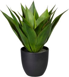 Künstliche Zimmerpflanze Agave Agave, Creativ green, günstig online kaufen