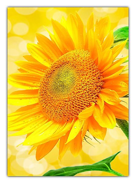 LYSCO Poster XL 70 x 50cm günstig online kaufen
