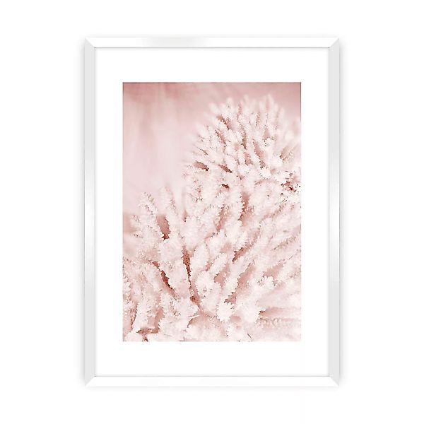 Poster Pastel Pink II, 50 x 70 cm, Rahmen wählen: weisser Rahmen günstig online kaufen