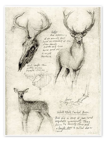 Posterlounge Wandbild Hirsche, Mike Koubou, erhältlich als Poster, Leinwand günstig online kaufen