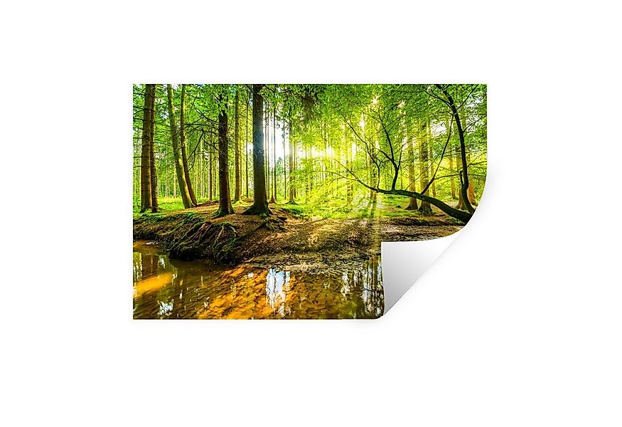 MuchoWow Wandsticker Wald - Landschaft - Wasser - Bäume - Sonne - Grün - Na günstig online kaufen