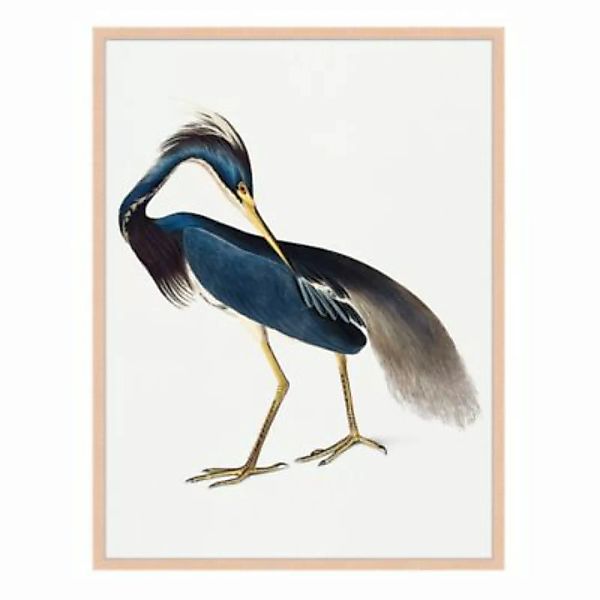 Milan Moon Wandbild Der Vogel beige Gr. 50 x 60 günstig online kaufen