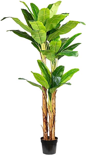 Kunstpalme Bananenpflanze Bananenpflanze, Creativ green, Höhe günstig online kaufen