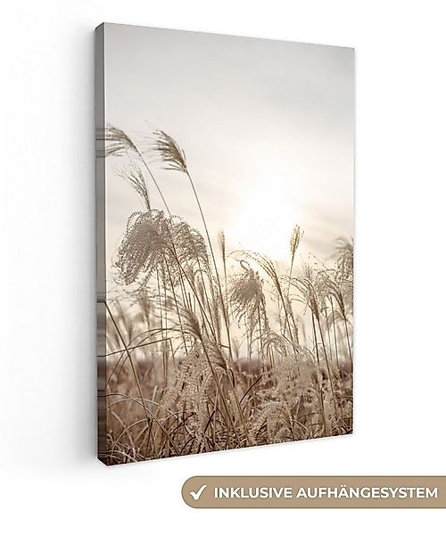 OneMillionCanvasses® Leinwandbild Schilf - Stilleben - Himmel, Fotodruck (1 günstig online kaufen