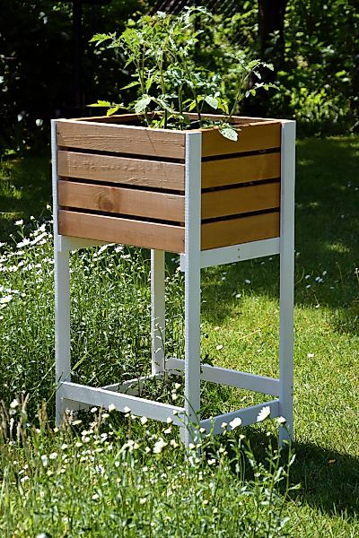 dobar Hochbeet "Obstkiste", BxTxH: 49x42x90 cm günstig online kaufen