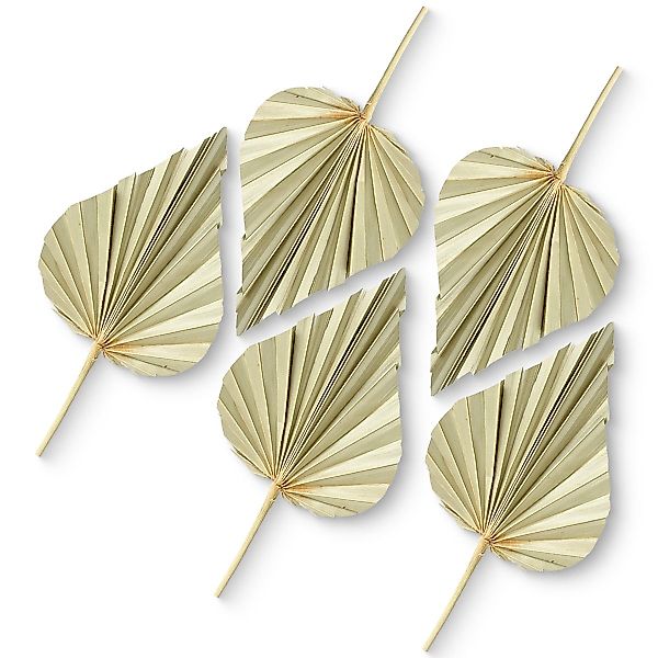 Kunstblume Palmspeere Bastelmaterial für Gestecke natur günstig online kaufen