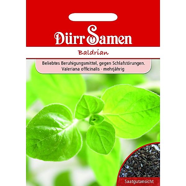 Dürr Samen Baldrian Saatgut günstig online kaufen