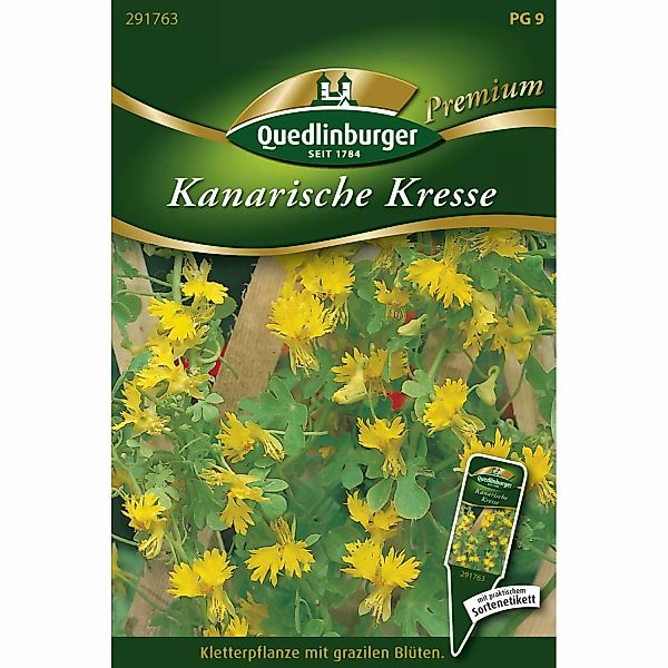 Quedlinburger Kanarische Kresse günstig online kaufen