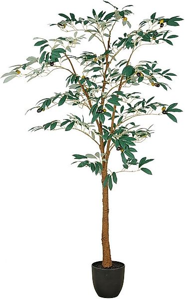 Kunstbaum Olive, Creativ green, Höhe 160 cm, mit detailgetreuer Gestaltung günstig online kaufen