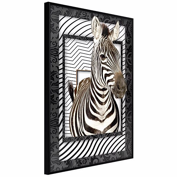 Poster - Zebra In The Frame günstig online kaufen