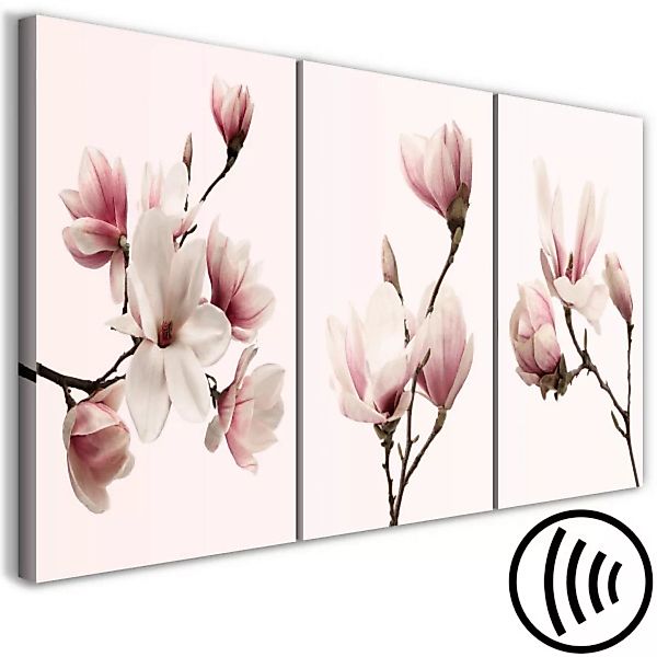Leinwandbild Spring Magnolias (3 Parts) XXL günstig online kaufen