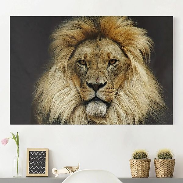 Leinwandbild Tiere - Querformat Wisdom of Lion günstig online kaufen