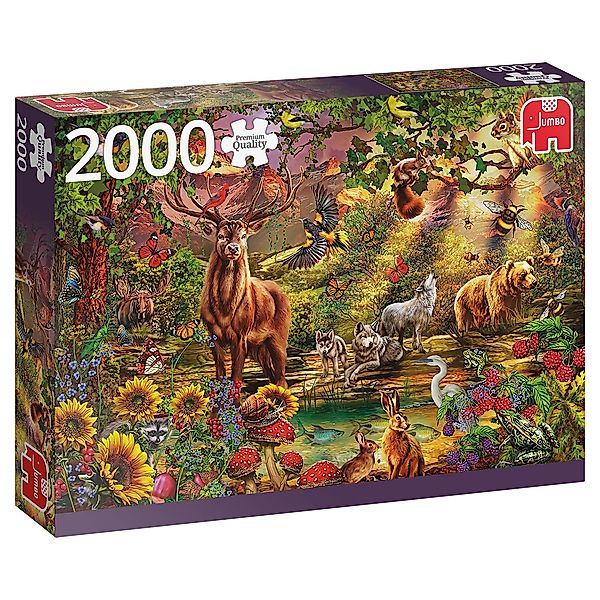 Jumbo Spiele Puzzle Magischer Wald bei günstig online kaufen