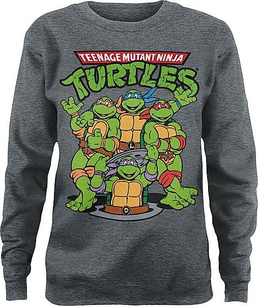 Teenage Mutant Ninja Turtles Rundhalspullover günstig online kaufen