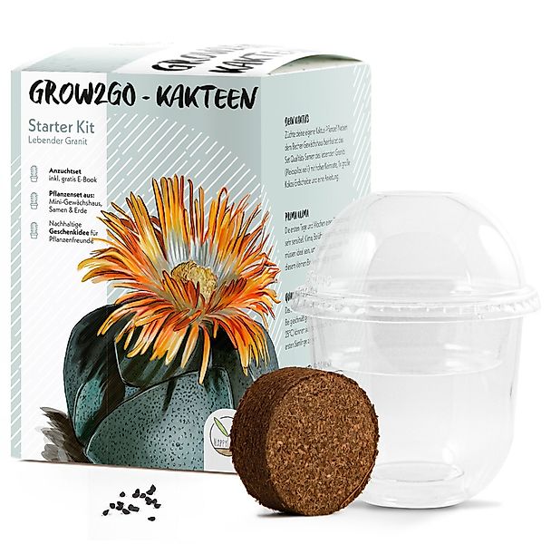 HappySeed Blumensamen Kakteen Starter Kit - günstig online kaufen