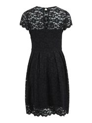 Vila Cocktailkleid VIKalila (1-tlg) Spitze günstig online kaufen