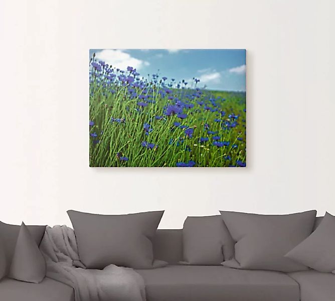 Artland Wandbild "Kornblumenwiese", Blumenwiese, (1 St.), als Leinwandbild, günstig online kaufen