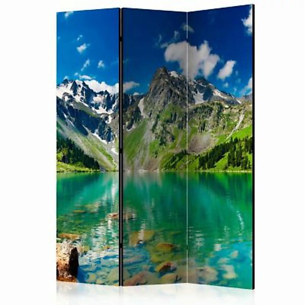 artgeist Paravent Mountain lake [Room Dividers] mehrfarbig Gr. 135 x 172 günstig online kaufen