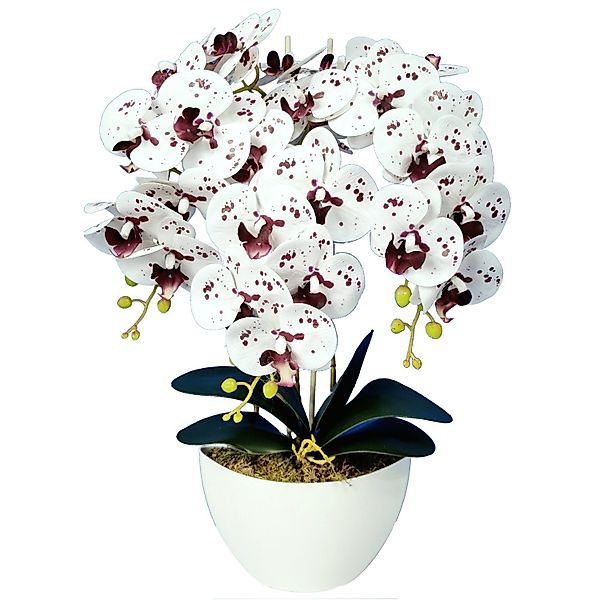 Kunstorchidee Orchidee, damich, Höhe 60 cm, günstig online kaufen