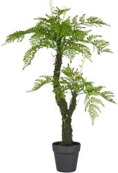 Kunstpflanze Baumfarn, Creativ green, Höhe 80 günstig online kaufen