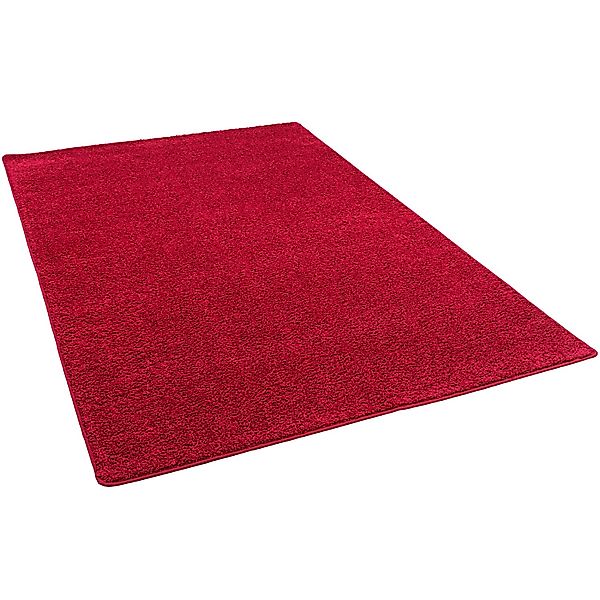 Snapstyle Veloursteppich Hochflor Velours Teppich Mona, günstig online kaufen