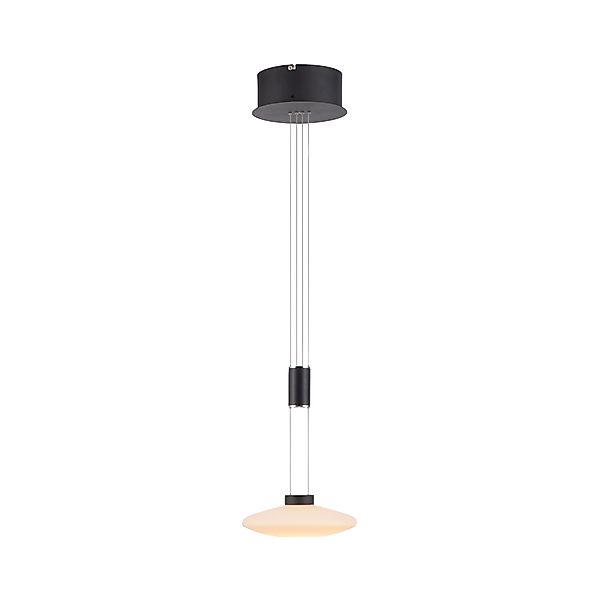 Paul Neuhaus Pendelleuchte »LAUTADA« LED-Board 1 Stk. Warmweiß LED, dimmbar günstig online kaufen