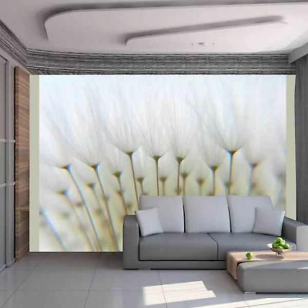 artgeist Fototapete Ein Wald aus Pusteblumen mehrfarbig Gr. 350 x 270 günstig online kaufen