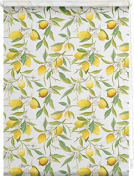 LICHTBLICK ORIGINAL Seitenzugrollo »Rollo Klemmfix, ohne Bohren, blickdicht günstig online kaufen