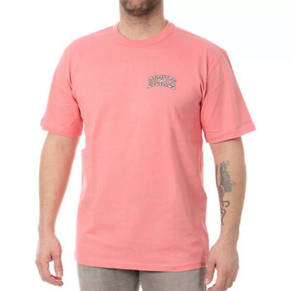 Dickies  T-Shirts & Poloshirts DK0A4Y8OG021 günstig online kaufen