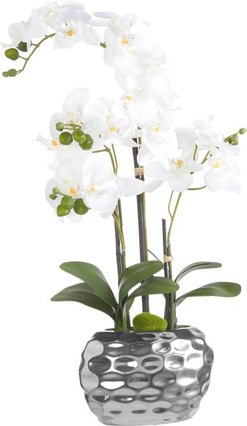 Kunstpflanze Orchidee Orchidee, Creativ green, Höhe günstig online kaufen