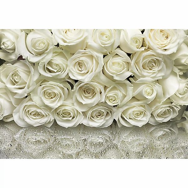 Komar Fototapete A la Rose  368 x 254 cm günstig online kaufen