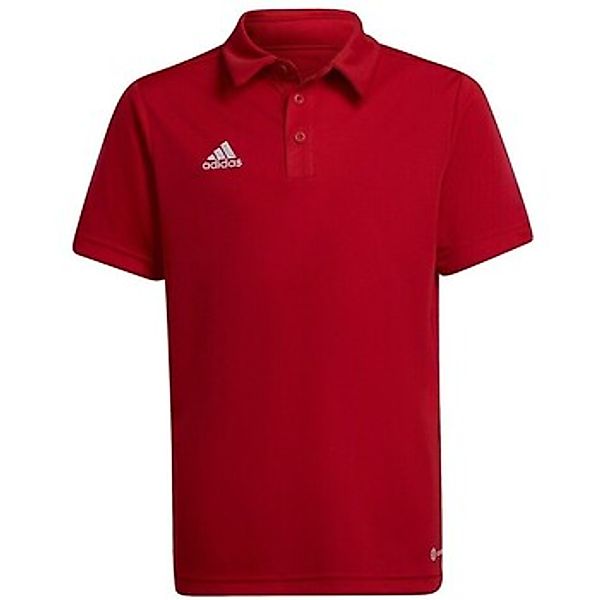 adidas  Poloshirt Entrada 22 günstig online kaufen