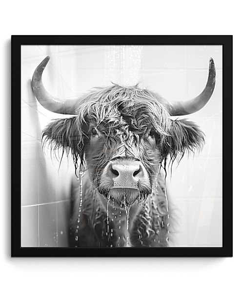 MuchoWow Poster Schottischer Highlander - Tier günstig online kaufen