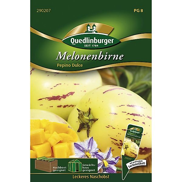 Quedlinburger Melonenbirne Pepino ''Dulce'' günstig online kaufen