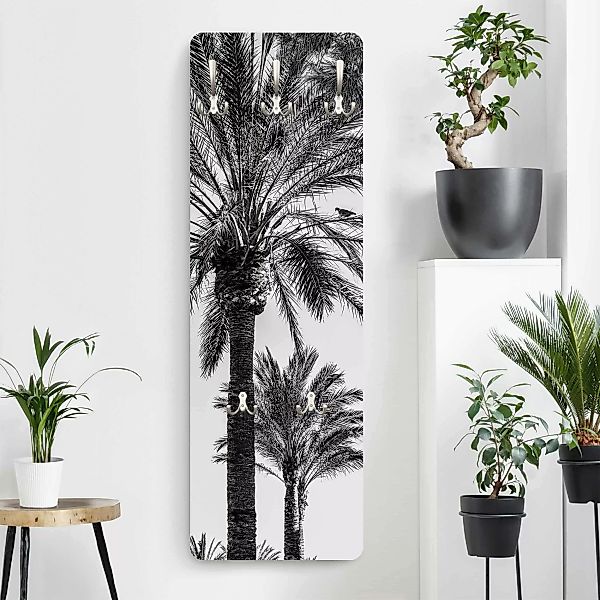 Wandgarderobe Palmen im Sonnenuntergang Schwarz-Weiß günstig online kaufen
