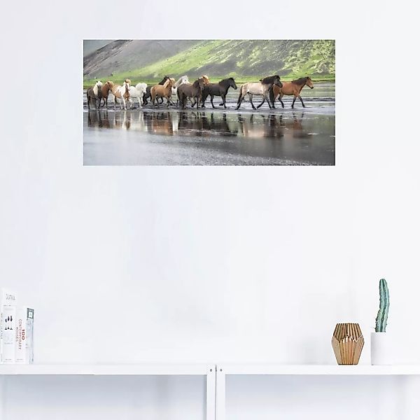 Artland Wandbild "Isländische Pferde XIV", Haustiere, (1 St.), als Leinwand günstig online kaufen